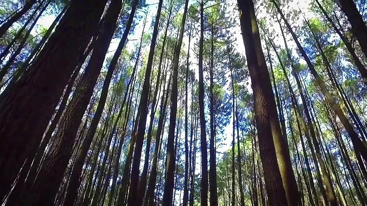 浙江宣传视频